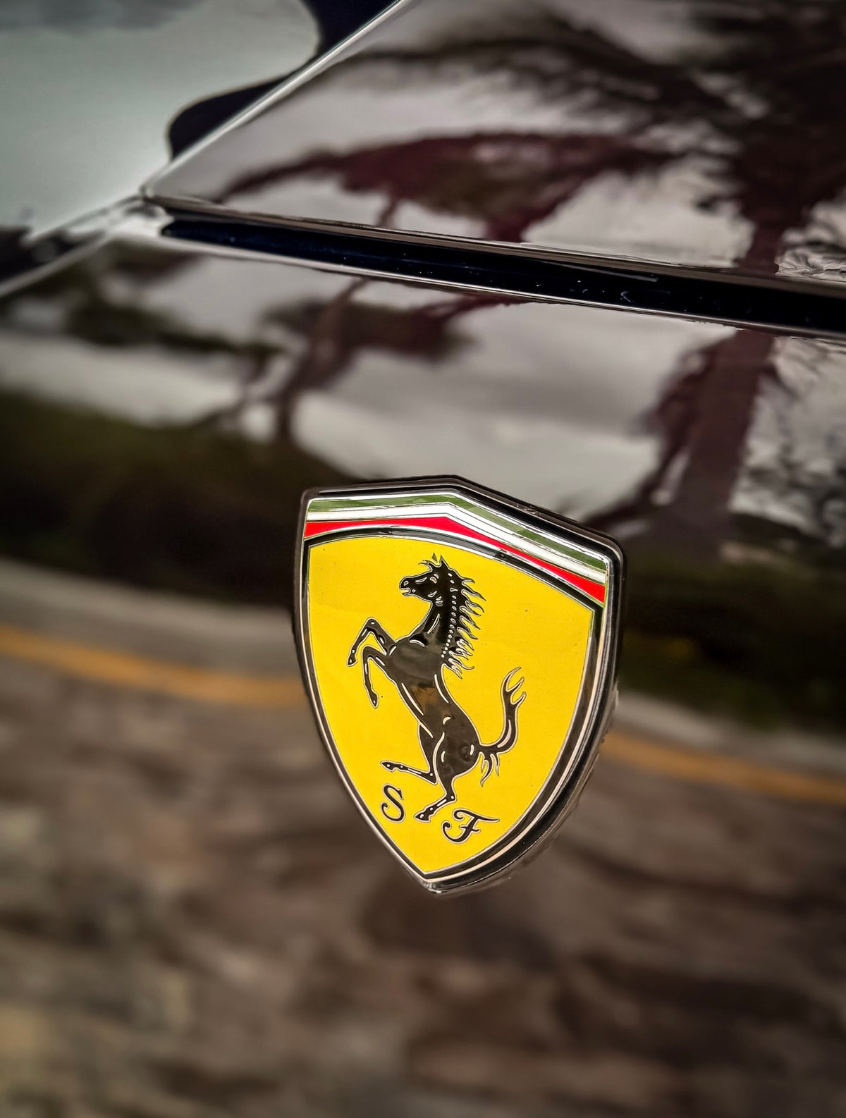 Ferrari Purosangue — Black
