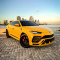Lamborghini Urus — Yellow