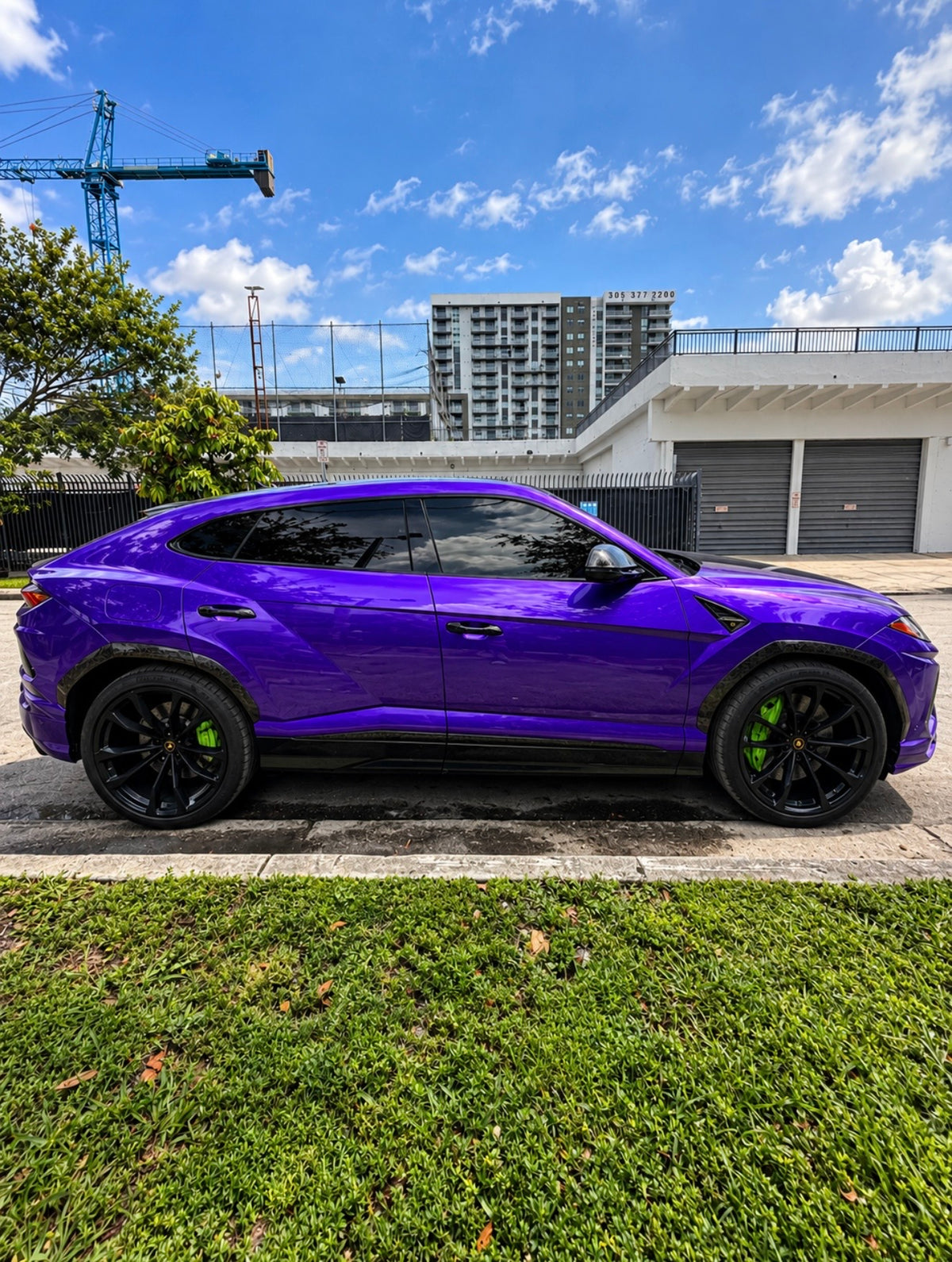 Lamborghini Urus — Purple